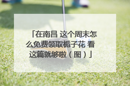 在南昌 这个周末怎么免费领取栀子花 看这篇就够啦（图）