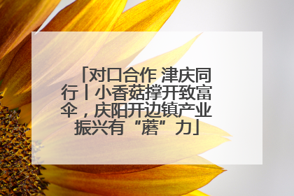 对口合作 津庆同行丨小香菇撑开致富伞，庆阳开边镇产业振兴有“蘑”力
