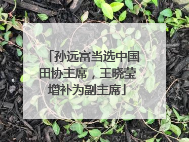 孙远富当选中国田协主席，王晓莹增补为副主席