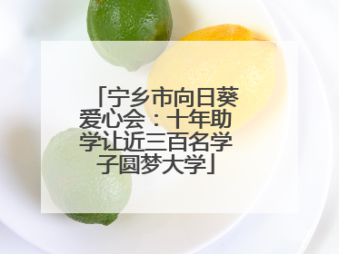 宁乡市向日葵爱心会：十年助学让近三百名学子圆梦大学