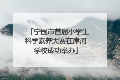 宁国市首届小学生科学素养大赛在津河学校成功举办