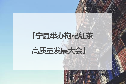 宁夏举办枸杞红茶高质量发展大会
