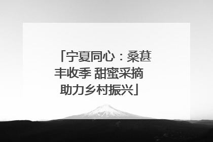 宁夏同心：桑葚丰收季 甜蜜采摘助力乡村振兴