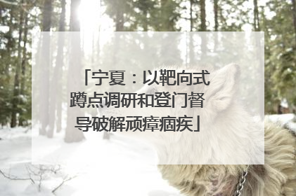 宁夏：以靶向式蹲点调研和登门督导破解顽瘴痼疾