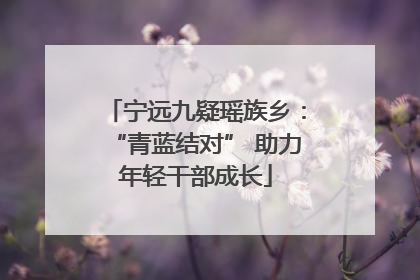 宁远九疑瑶族乡：“青蓝结对” 助力年轻干部成长