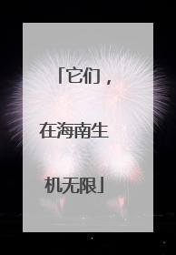 它们，在海南生机无限