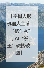 宇树人形机器人全球“格斗秀”，AI“拳王”硬核破圈