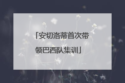 安切洛蒂首次带领巴西队集训