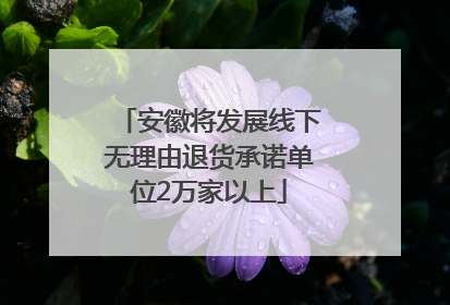 安徽将发展线下无理由退货承诺单位2万家以上