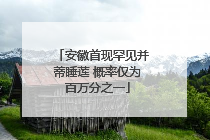 安徽首现罕见并蒂睡莲 概率仅为百万分之一