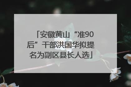 安徽黄山“准90后”干部洪国华拟提名为副区县长人选
