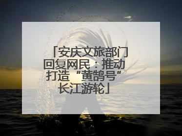 安庆文旅部门回复网民：推动打造“黄鹄号”长江游轮