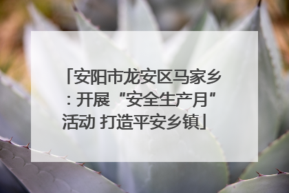安阳市龙安区马家乡：开展“安全生产月”活动 打造平安乡镇
