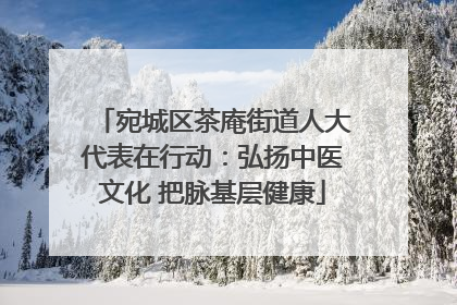 宛城区茶庵街道人大代表在行动：弘扬中医文化 把脉基层健康