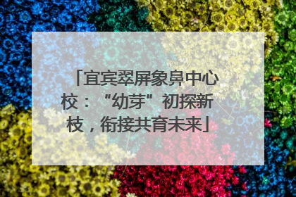 宜宾翠屏象鼻中心校：“幼芽”初探新枝，衔接共育未来