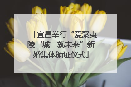 宜昌举行“爱聚夷陵‘城’就未来”新婚集体颁证仪式
