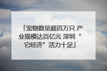 宠物数量超百万只 产业规模达百亿元 深圳“它经济”活力十足