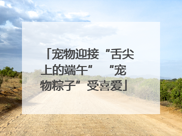 宠物迎接“舌尖上的端午” “宠物粽子”受喜爱