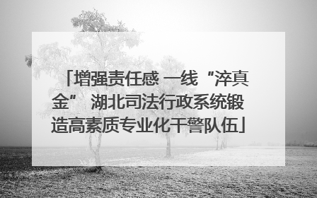 增强责任感 一线“淬真金” 湖北司法行政系统锻造高素质专业化干警队伍