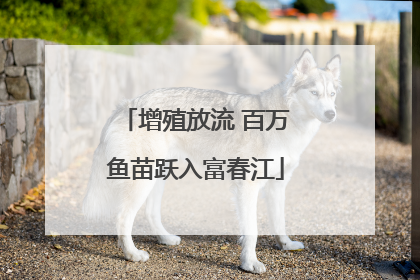 增殖放流 百万鱼苗跃入富春江