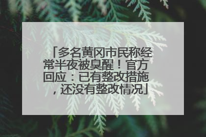 多名黄冈市民称经常半夜被臭醒！官方回应：已有整改措施，还没有整改情况