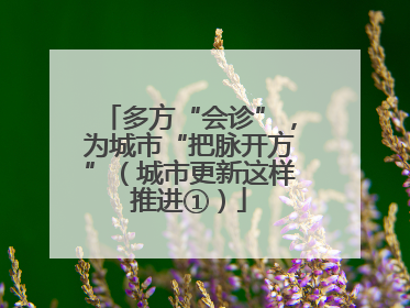 多方“会诊”，为城市“把脉开方”（城市更新这样推进①）