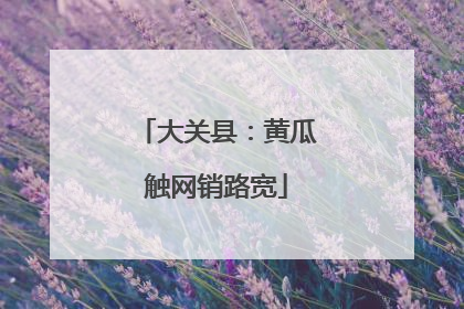 大关县：黄瓜触网销路宽