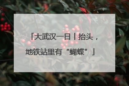 大武汉一日丨抬头，地铁站里有“蝴蝶”
