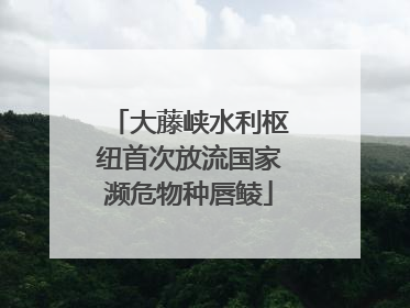 大藤峡水利枢纽首次放流国家濒危物种唇鲮