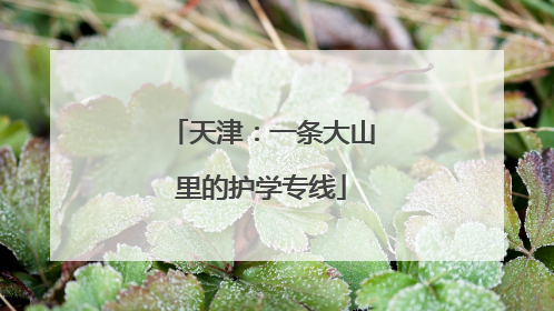 天津：一条大山里的护学专线