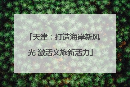 天津：打造海岸新风光 激活文旅新活力