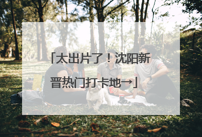 太出片了！沈阳新晋热门打卡地→