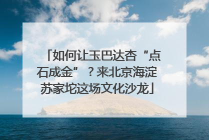 如何让玉巴达杏“点石成金”？来北京海淀苏家坨这场文化沙龙