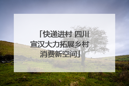 快递进村 四川宣汉大力拓展乡村消费新空间