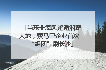 当东非海风邂逅湘楚大地，索马里企业首次“组团”刷长沙