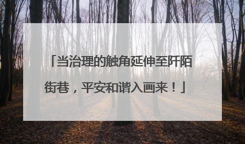 当治理的触角延伸至阡陌街巷，平安和谐入画来！