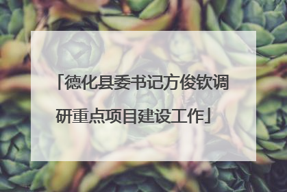德化县委书记方俊钦调研重点项目建设工作
