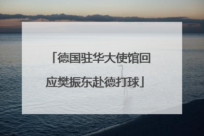 德国驻华大使馆回应樊振东赴德打球