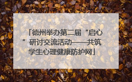 德州举办第二届“启心”研讨交流活动——共筑学生心理健康防护网