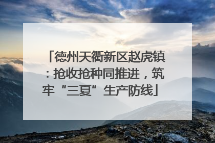 德州天衢新区赵虎镇：抢收抢种同推进，筑牢“三夏”生产防线