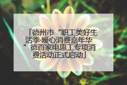 德州市“职工美好生活季·暖心消费嘉年华”德百家电惠工专项消费活动正式启动