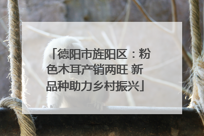 德阳市旌阳区：粉色木耳产销两旺 新品种助力乡村振兴