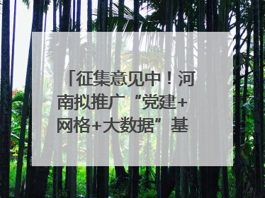 征集意见中！河南拟推广“党建+网格+大数据”基层治理模式