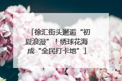 徐汇街头邂逅“初夏浪漫”！绣球花海成“全民打卡地”