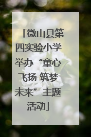 微山县第四实验小学举办“童心飞扬 筑梦未来”主题活动