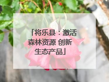 将乐县：激活森林资源 创新生态产品