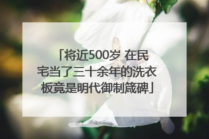 将近500岁 在民宅当了三十余年的洗衣板竟是明代御制箴碑