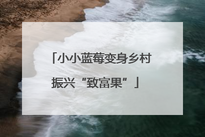 小小蓝莓变身乡村振兴“致富果”