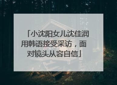 小沈阳女儿沈佳润用韩语接受采访，面对镜头从容自信