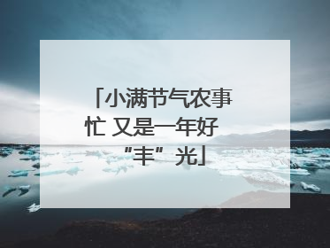 小满节气农事忙 又是一年好“丰”光